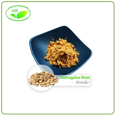 Astragalus Root Extract Powder